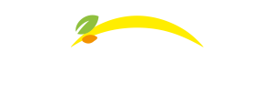 Bonduelle - Volver a la home